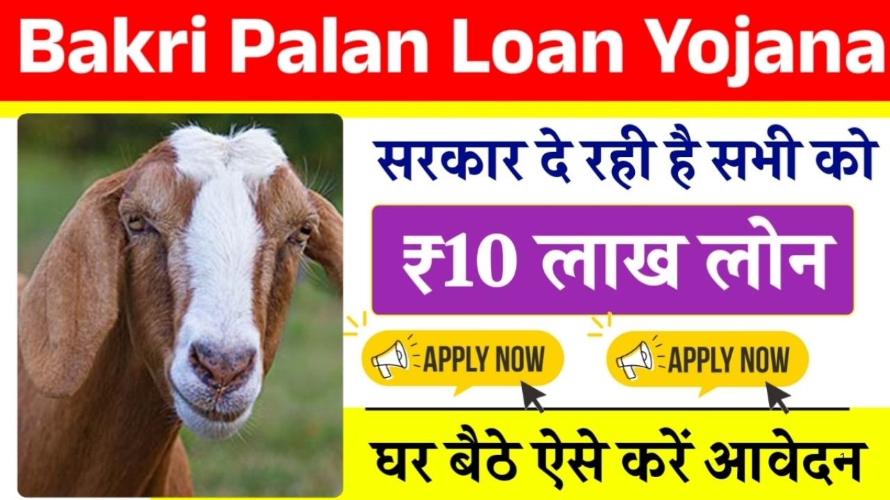 बकरी पालन लोन योजना 2025: सरकार दे रही ₹10 लाख तक का आसान लोन